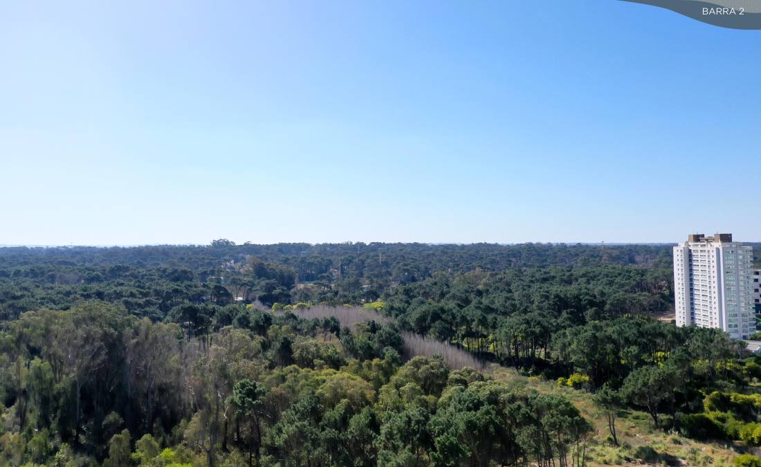 Departamento 2 dormitorios en venta Atelier By Le Parc - Punta Del Este, Punta del Este. CBU65804 AP7251483 Crestale Propiedades