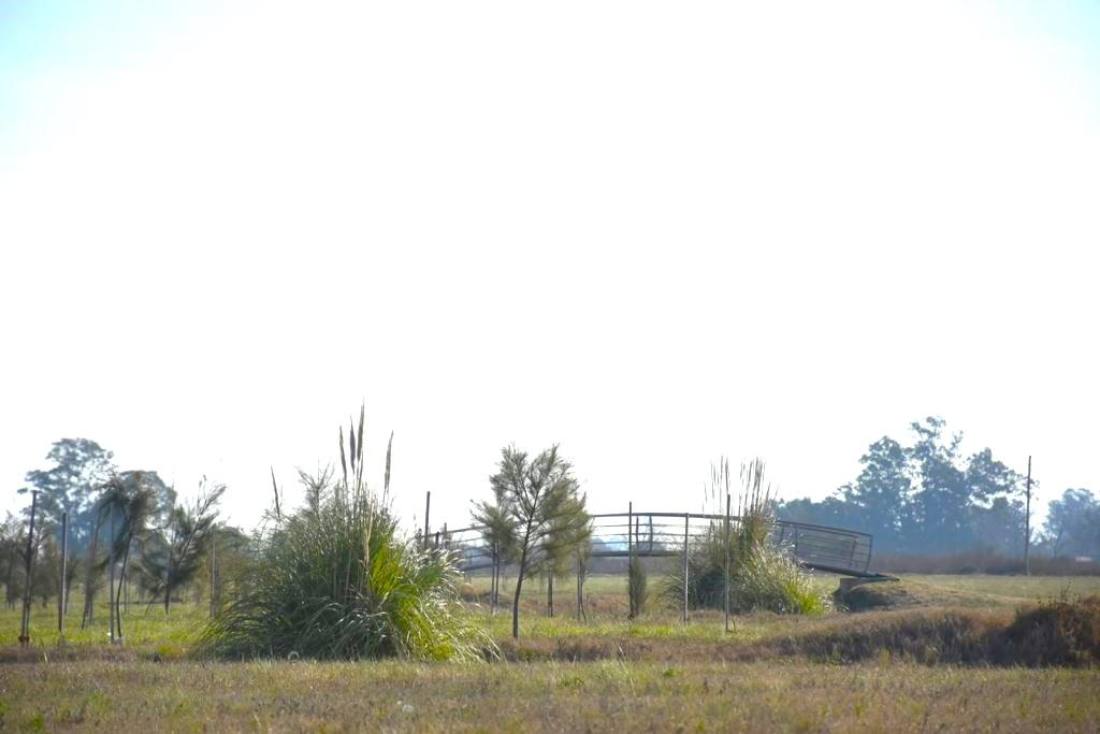 Terreno en venta Funes Norte - Obeid Y Gral. López, Funes. CLA6184754 Crestale Propiedades