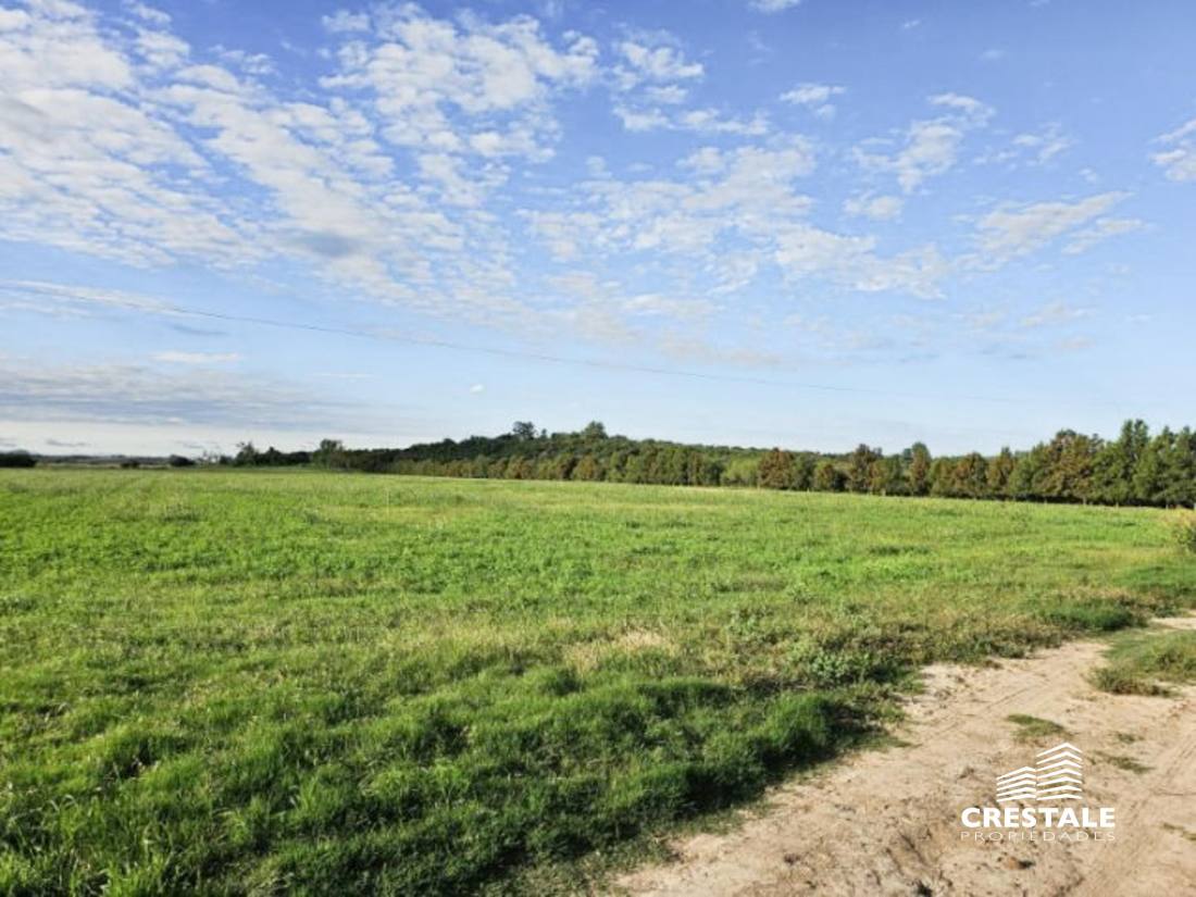 Campo en venta Victoria - Entre Ríos, Victoria. CHO6595680 Crestale Propiedades