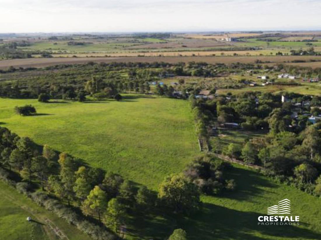 Campo en venta Victoria - Entre Ríos, Victoria. CHO6595680 Crestale Propiedades