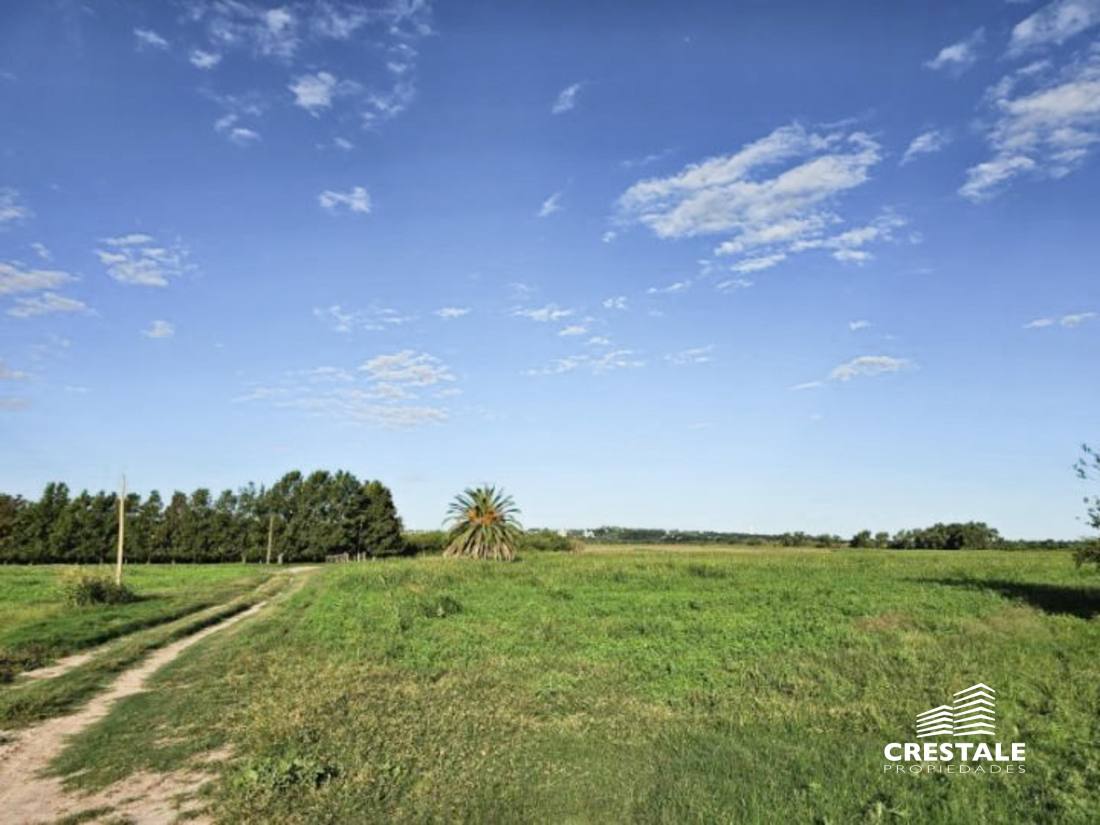 Campo en venta Victoria - Entre Ríos, Victoria. CHO6595680 Crestale Propiedades