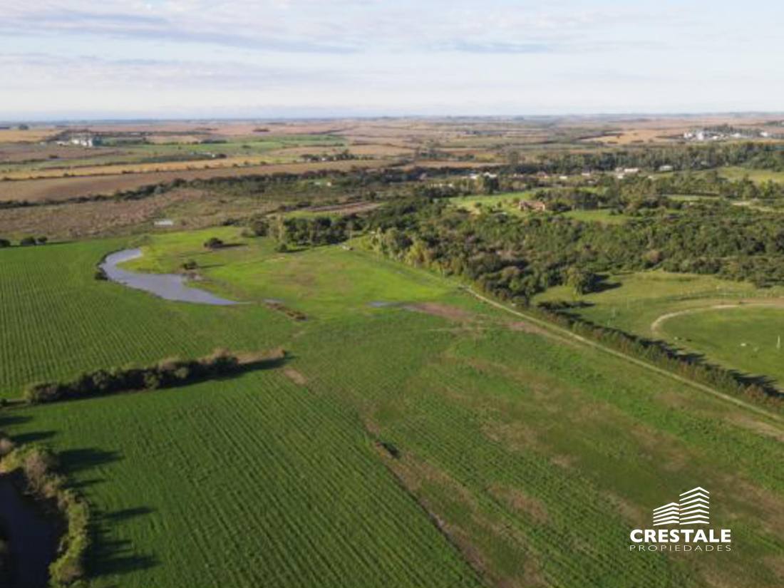 Campo en venta Victoria - Entre Ríos, Victoria. CHO6595680 Crestale Propiedades
