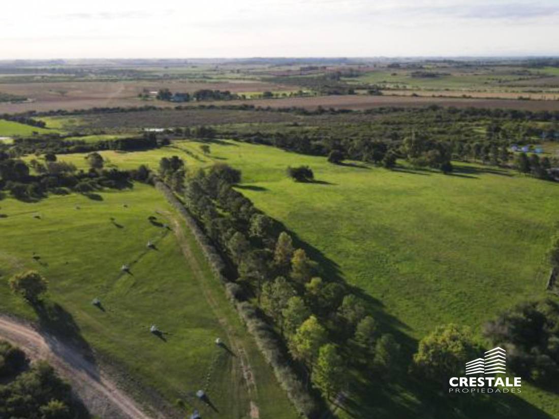 Campo en venta Victoria - Entre Ríos, Victoria. CHO6595680 Crestale Propiedades