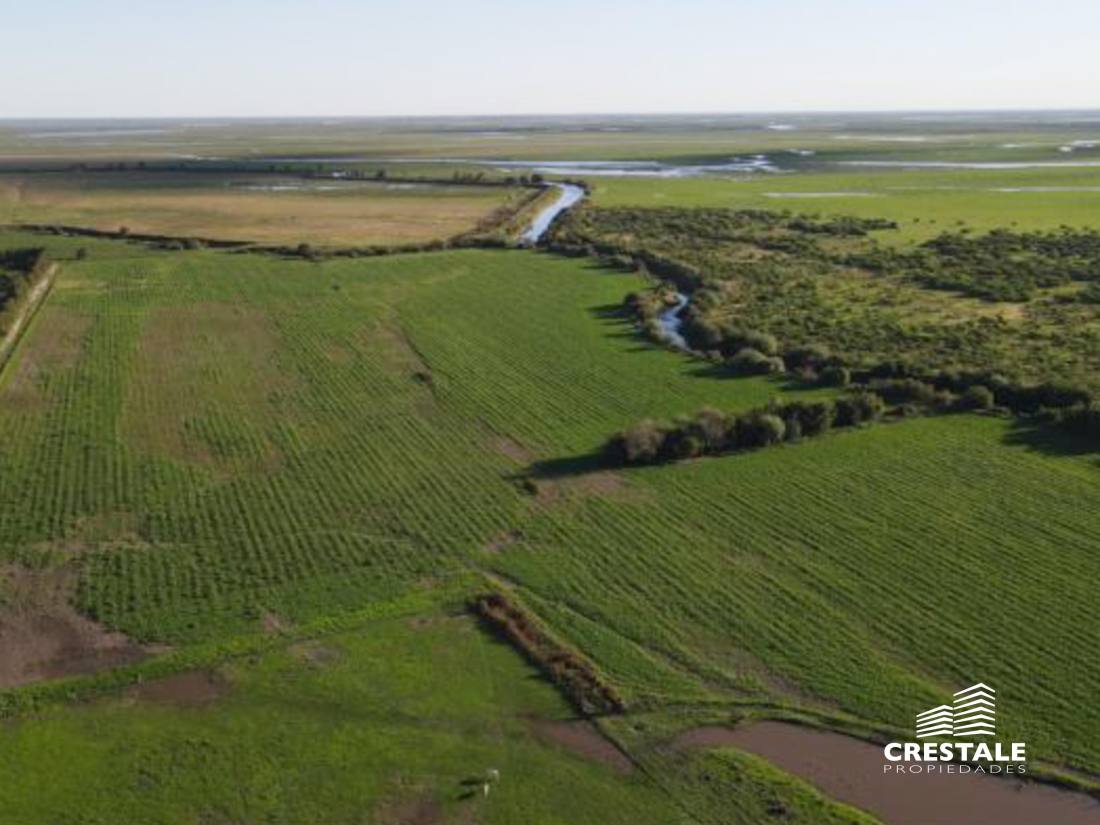 Campo en venta Victoria - Entre Ríos, Victoria. CHO6595680 Crestale Propiedades