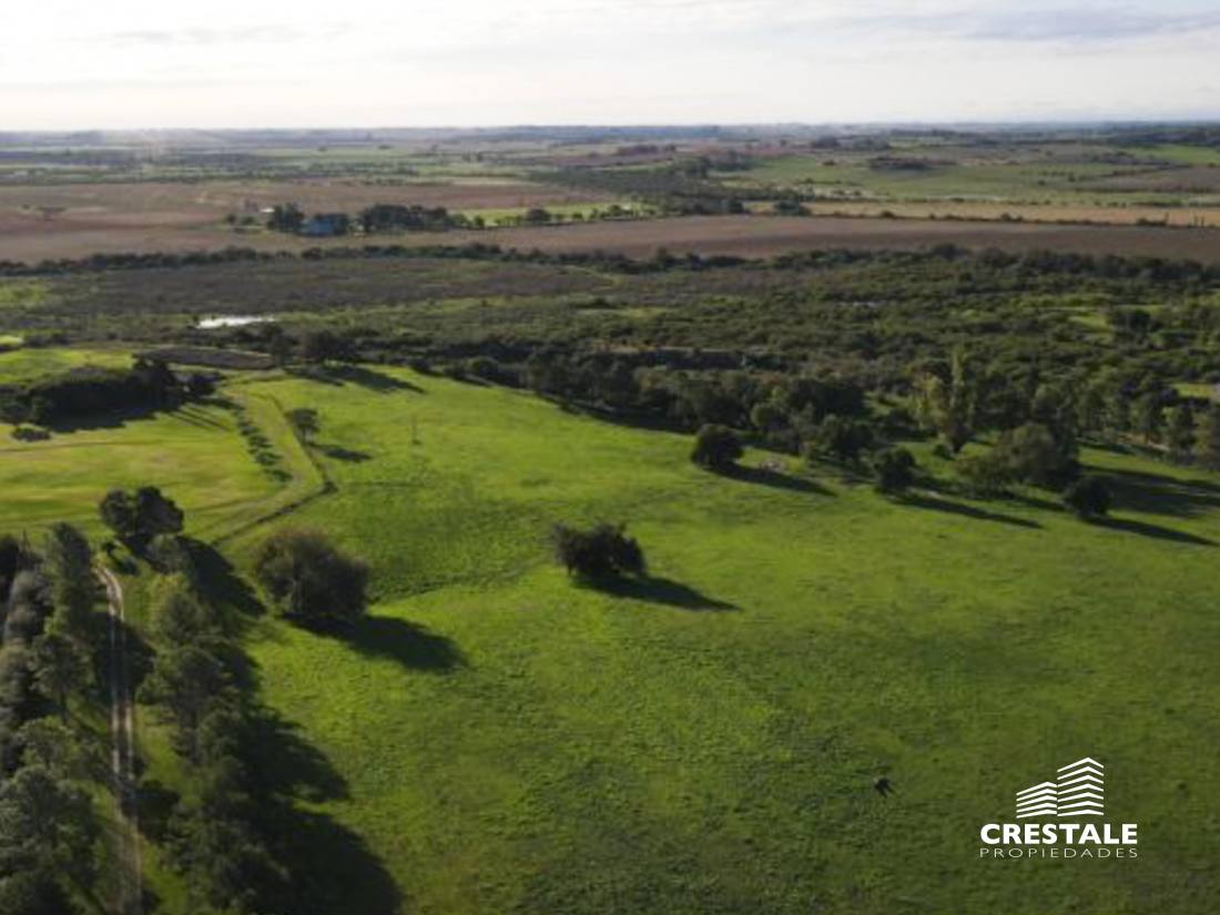 Campo en venta Victoria - Entre Ríos, Victoria. CHO6595680 Crestale Propiedades
