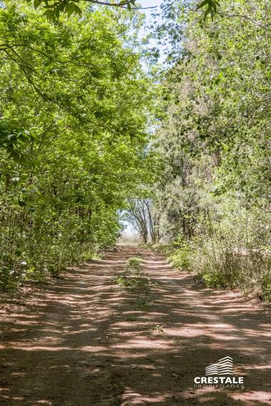 terreno en venta Roldán Roldán, Estancia La Catalina