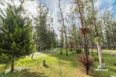 terreno en venta Oliveros Campo Timbo, Campo Timbo