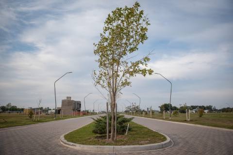 Casa 2 dormitorios en venta Eco Tierra - Pueblo Esther, Pueblo Esther. CHO6480275 Crestale Propiedades