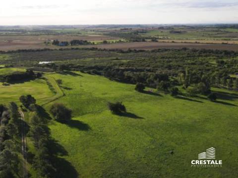 Casa 8 dormitorios en venta Victoria - Entre Ríos, Victoria. CHO6594659 Crestale Propiedades