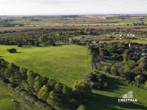 Casa 8 dormitorios en venta Victoria - Entre Ríos, Victoria. CHO6594659 Crestale Propiedades
