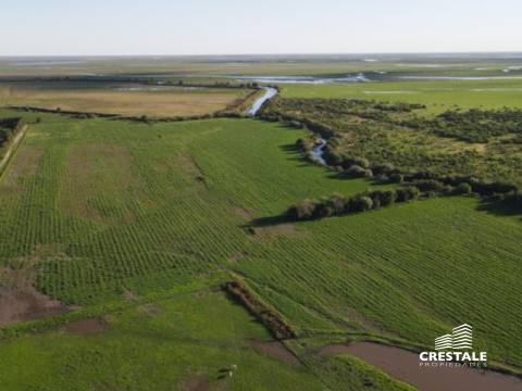 Casa 8 dormitorios en venta Victoria - Entre Ríos, Victoria. CHO6594659 Crestale Propiedades
