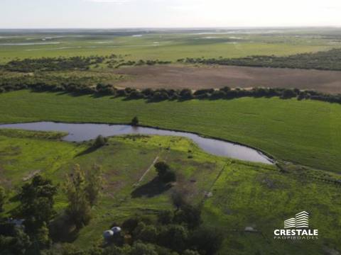 Casa 8 dormitorios en venta Victoria - Entre Ríos, Victoria. CHO6594659 Crestale Propiedades
